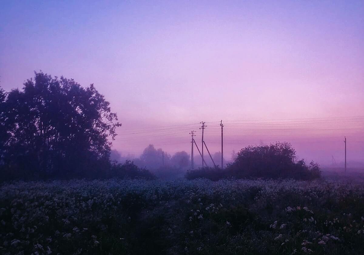 华体会官网：从入口到精彩的全场景娱乐之旅